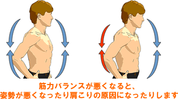 筋力バランスが悪くなると、姿勢が悪くなったり肩こりの原因になったりします