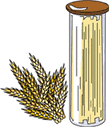 小麦とパスタ