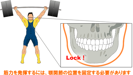 筋力を発揮するには、顎関節の位置を固定する必要があります