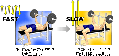 通常の筋力トレーニング→スロートレーニング