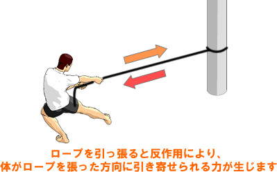 ロープを引っ張ると反作用により、体がロープを張った方向に引き寄せられる力が生じます