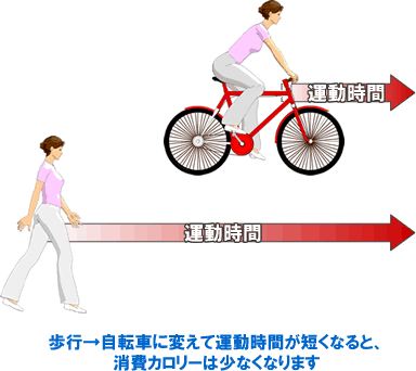 歩行→自転車に変えて運動時間が短くなると、消費カロリーは少なくなります